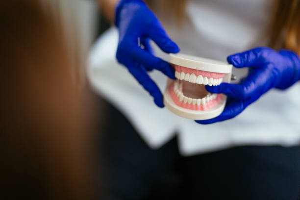 Best Preventive Dentistry  in Elleale, ND